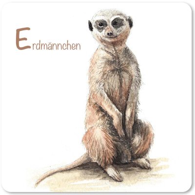 erdmaennchen