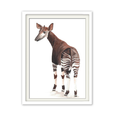 full_okapi21