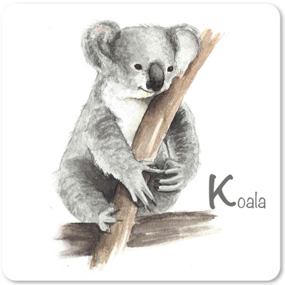 koala