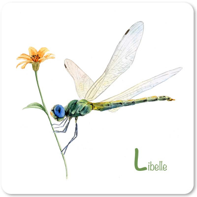 libelle