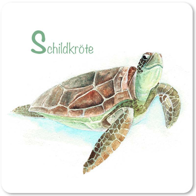 schildkroete