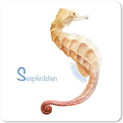 seepferdchen