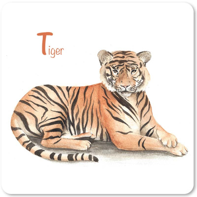 tiger